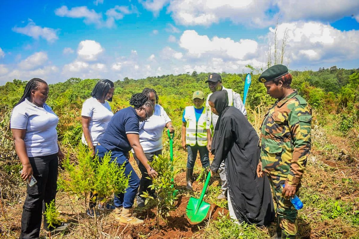RODI Kenya Participates in Athi Water Works Development Agency Tree Planting & Catchment Restoration Exercise in Kieni Forest