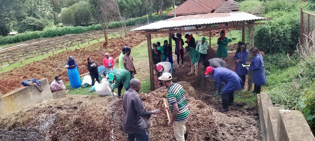 From Waste to Wealth: How RODI Kenya is Transforming Coffee Farming in Nyeri