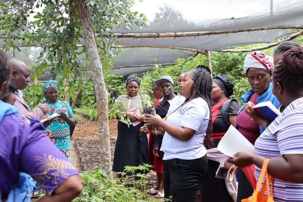 Nurturing nature through organic field days